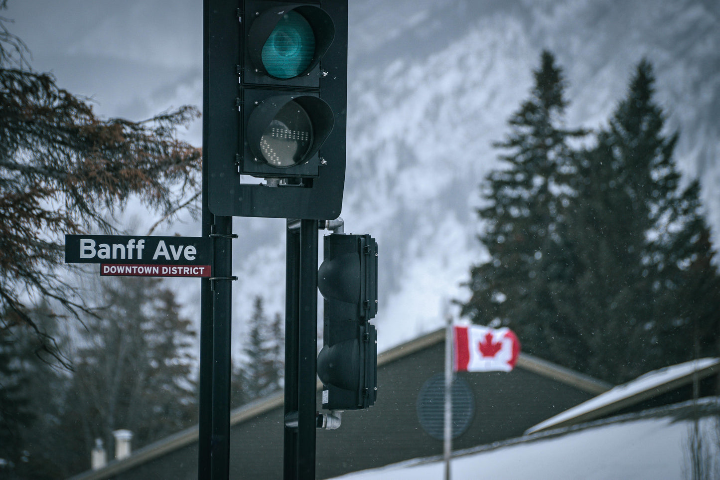 Banff Traffic Light