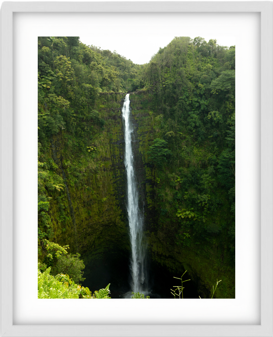 Lush Waterfall